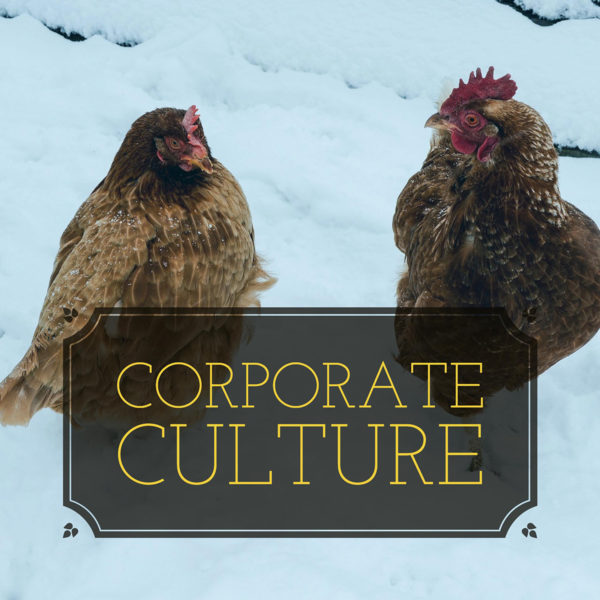 Corporate-Culture